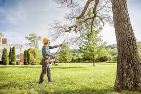 Best Lot and Land Clearing  in Catasauqua, PA
