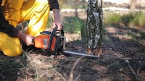 Best Grass Overseeding  in Catasauqua, PA