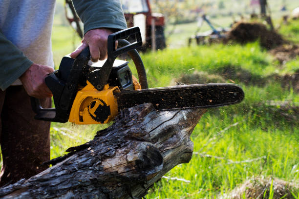 Best Utility Line Clearance  in Catasauqua, PA